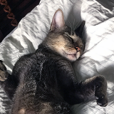 singapore cooking class, singapore cooking lesson, learn, how to cook singapore dishes, singapore cookery class, singapore cookery lessons, nonya cooking class, how to, malay cooking class, chinese cooking class, indian cooking class, nyonya cooking class, peranakan cooking class, eurasian cooking class, things to do in singapore, best cooking class, singapore, must do, asian cooking class, food, home, house, chef, private cooking class, top 10 cooking class, where do i, tourist, visitor, culinary, cookery magic, cooking classes singapore, cooking class singapore, the best cooking classes in singapore, the ten best singapore cooking classes, learn to cook in singapore, book cooking classes in singapore, cooking classes and lessons in singapore, cooking schools in singapore, culinary school singapore, cookery magic, ruqxana vasanwala, food sorceress, rukhsana corporate cooking class, team building, team bonding, group activity, hands on cooking class, lunch and learn, company, fun things to do in singapore, fun cooking class hen party, bachelor party, children’s cooking class, cooking class for school, ubin cooking class, island cooking class, kampong cooking class