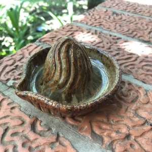 ceramic juicer